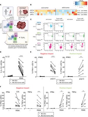 The melanoma tumor glyco-code impacts human dendritic cells’ functionality and dictates clinical outcomes